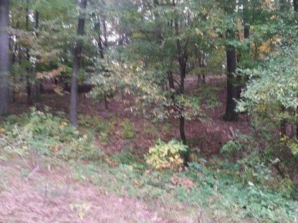 Vising Drive # Lot 7, Lowell, MI 49331