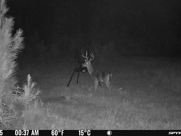 5th image of 1351 Dixon Rd