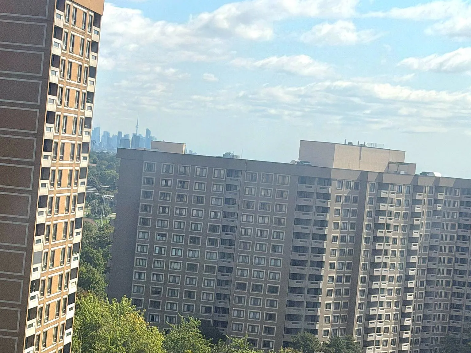 3 bed, $2,899 — Photo 2