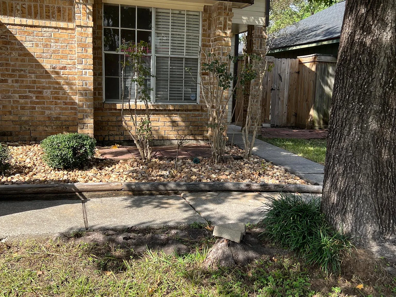 2519 Autumn Springs Ln — Photo 2