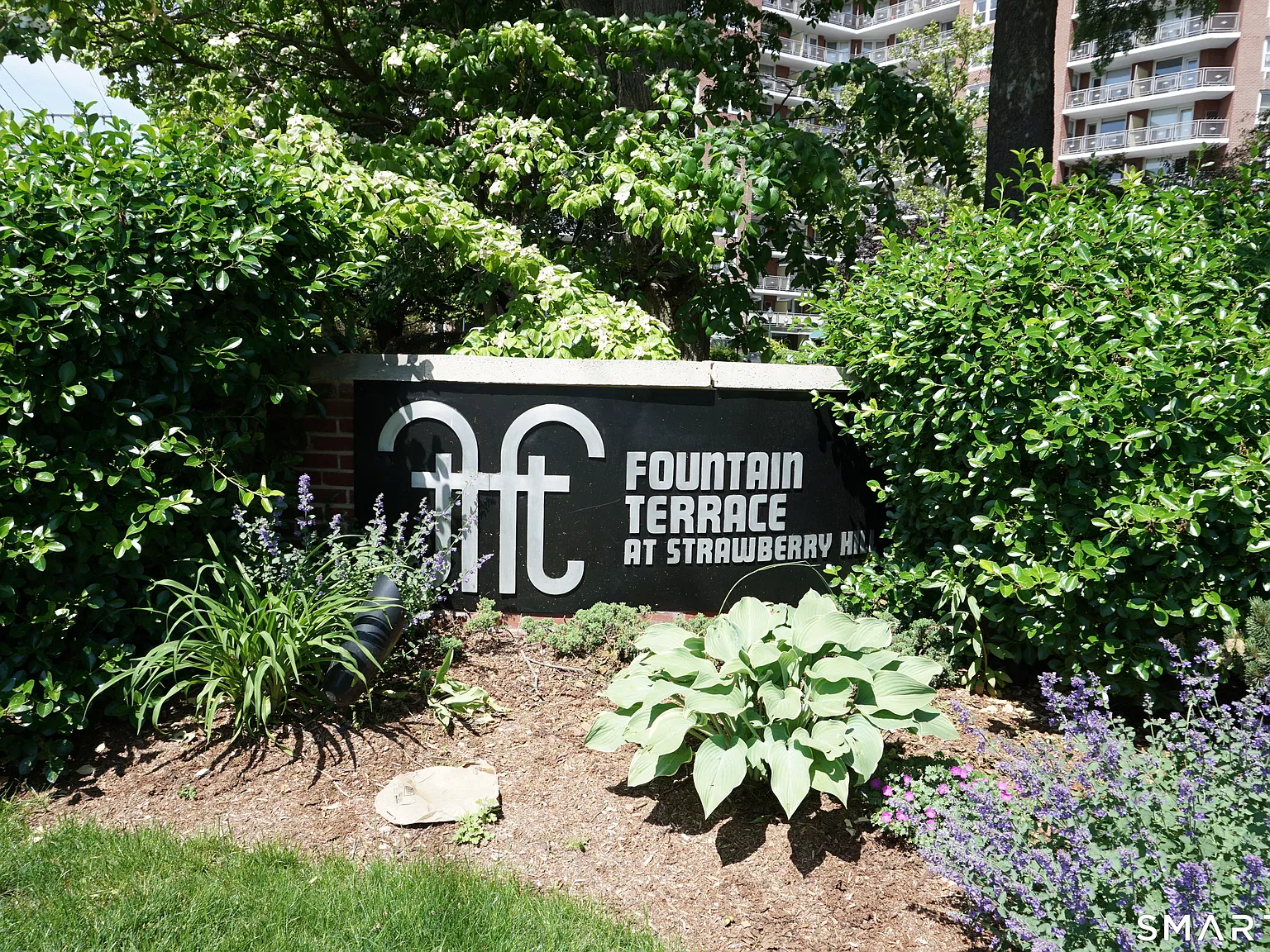 2 bed, 1.0 bath, 875 sqft, $2,800 — Photo 2