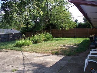 Patio and Rear Yard