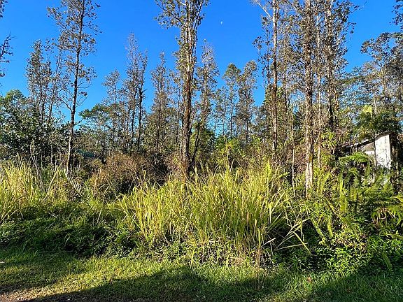 3rd image of 16-2110 Orchid Dr Lot 50
