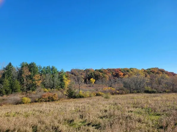 0 Tripp Rd, Osseo, MI 49266