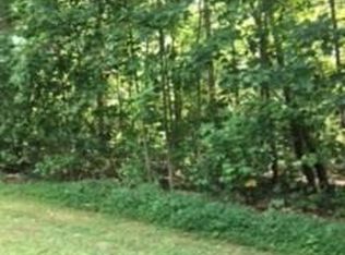 LOT 37 W Meadow Pkwy, Moravian Falls, NC 28654