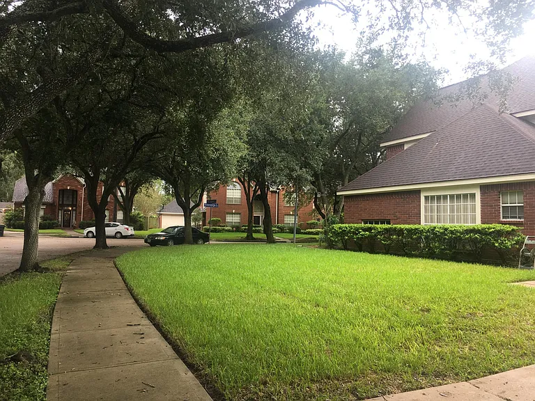 Side yard