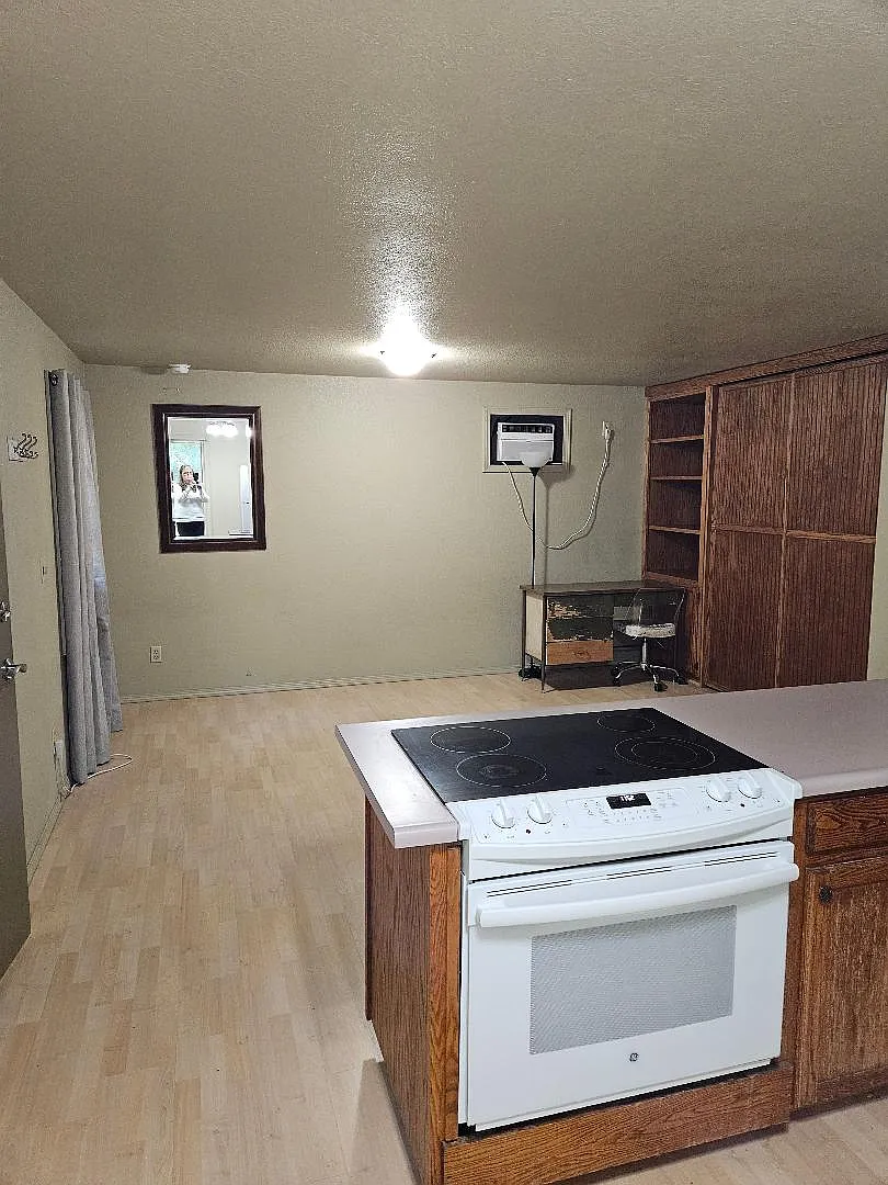 Studio, $1,250 — Photo 3