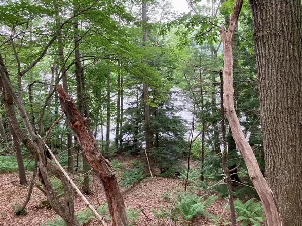 64 Old Falls Pond Road, Alfred, ME 04002