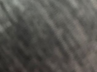 3887 Caely Ave, Detroit, MI 48212