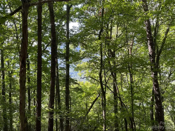 0 Jonathan Ln, Lake Lure, NC 28746