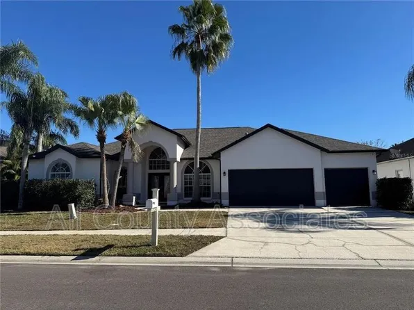 28724 Hanging Moss Loop, Wesley Chapel, FL 33543