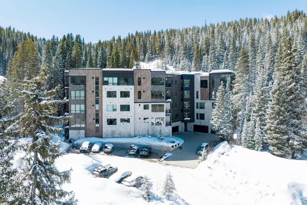 422 Iron Horse Way #206, Winter Park, CO - View 6
