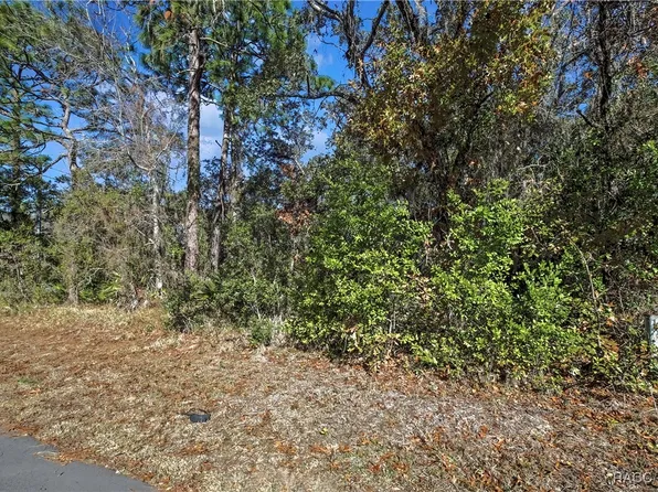 87 Cypress Cir, Homosassa, FL 34446