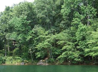 46 Cross Creek Rd, Robbinsville, NC 28771