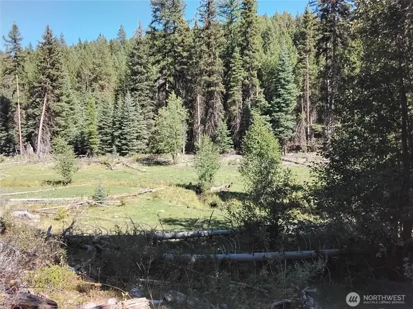 0 Little Place Road, Tonasket, WA 98855