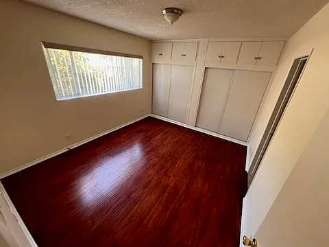 Sycamore Terrace — Photo 33