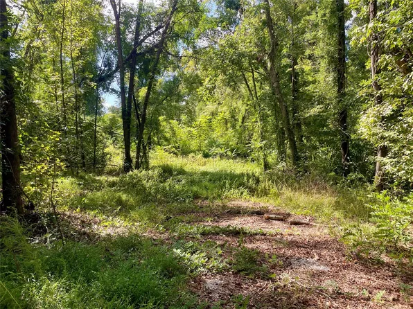 0 Danburg Rd, Washington, GA 30673