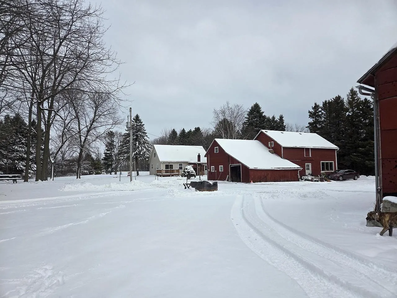 4503 Carstens Lake ROAD photo 1