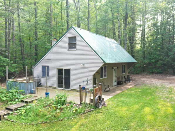 5540 N Bear Lake Trl, Rose City, MI 48654