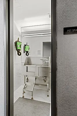 Rented by Douglas Elliman | media 27