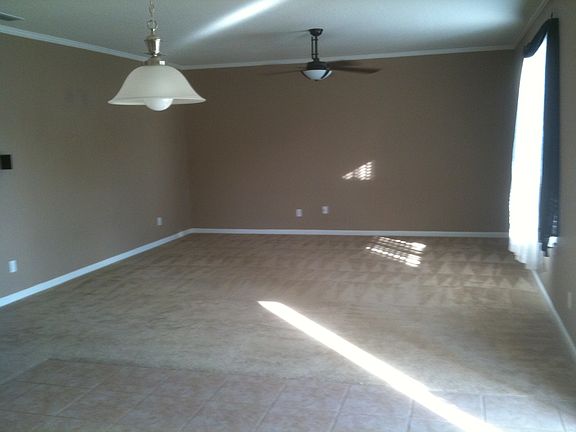 Living Room - 55" fan etc.