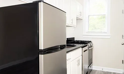 646 W Roscoe St #646.5-2S — Photo 6