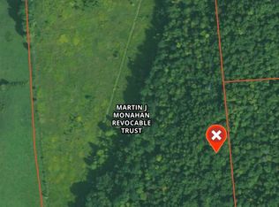 0 McCarthy Rd, Schenevus, NY 12155