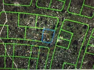 507 Migration Ave, Lake Placid, FL 33852