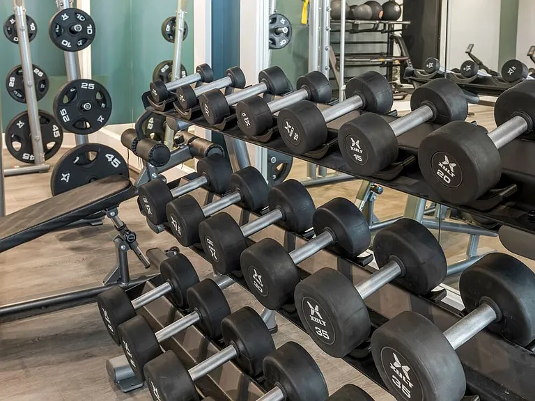 Fitness center with strength equipment