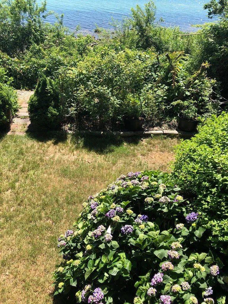 100 Shore Dr — Photo 2