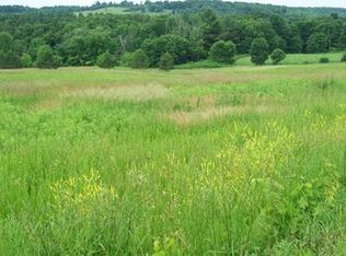 Cemetery Rd, Van Hornesville, NY 13475