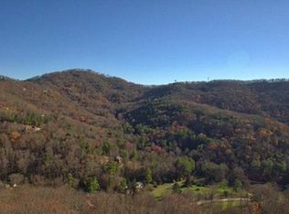 99999 Town Mountain Rd, Asheville, NC 28804