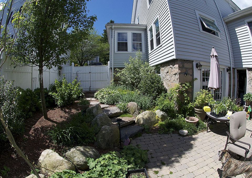 Backyard oasis