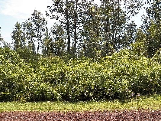 3rd image of Tangerine Dr Lot 29