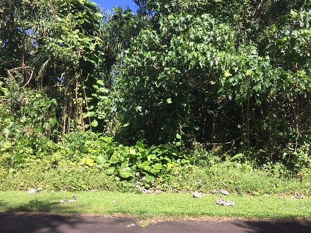 1st image of Oio St Lot 1505