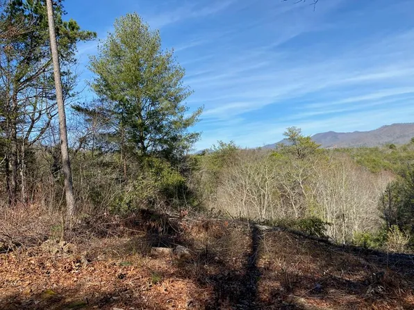 Hidden Ln, Murphy, NC 28906