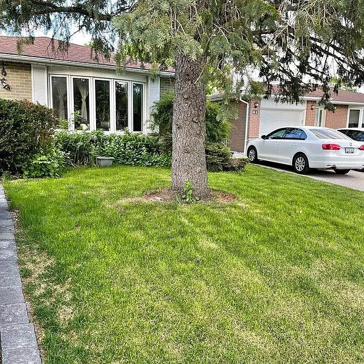 39 Devins Dr