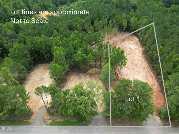 2346 Peachtree Hills Rd Lot 1, Spring Hope, NC 27882