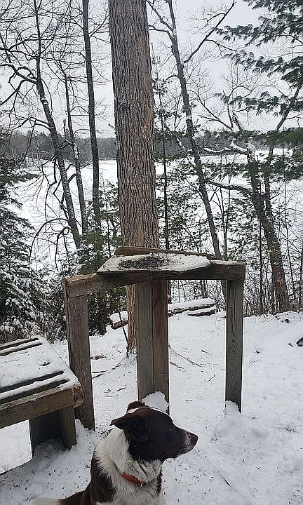 2nd image of 8240 N North End Rd