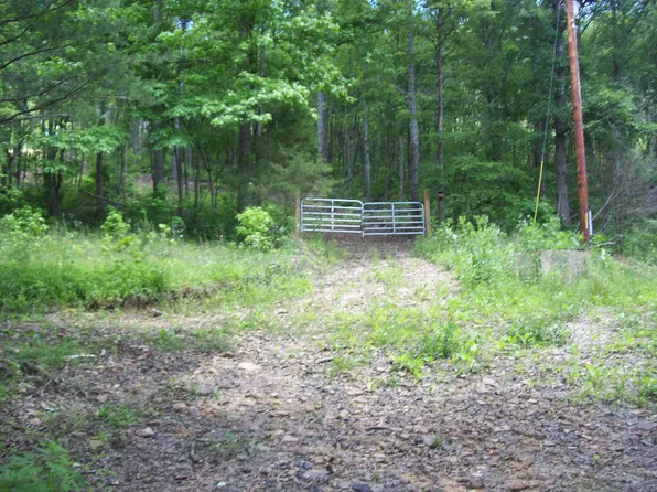 4370 Panther Creek Rd, Sneedville, TN 37869