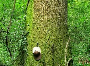 0 Highway 540, Magee, MS 39111