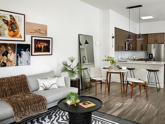 Griffis Cherry Creek North Model Reno-Main