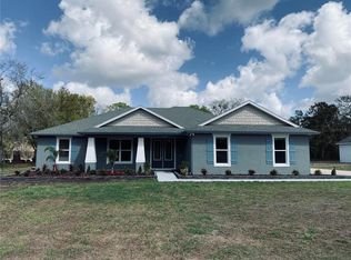 11802 Shadow Run Blvd, Riverview, FL 33569