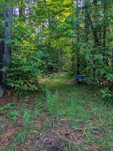 128 Brock Hill Road, Grafton, NH, 03240