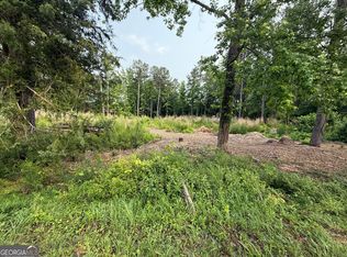 91 Holly Grove Rd, Griffin, GA 30224