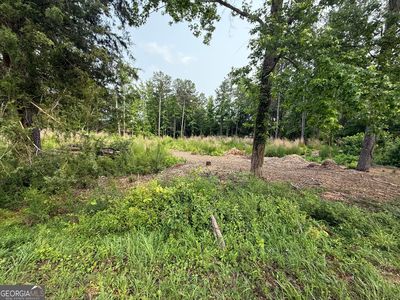 91 Holly Grove Rd, Griffin, GA, 30224