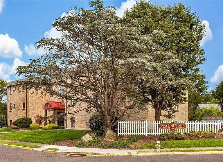 Pear Tree Court Apartments — Photo 19