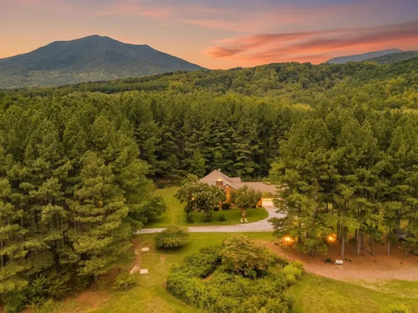 1553 Foxfire Ln, Bedford, VA 24523