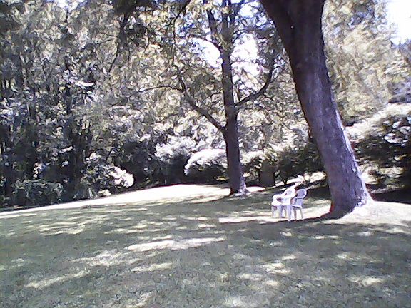 3rd image of 2061 Lee Dr
