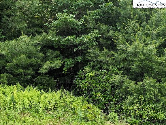 2nd image of Lot 12 Briarwood Lane